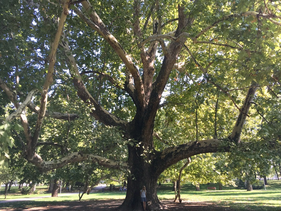 B718F711-A464-40A0-9759-620F9DE976B1