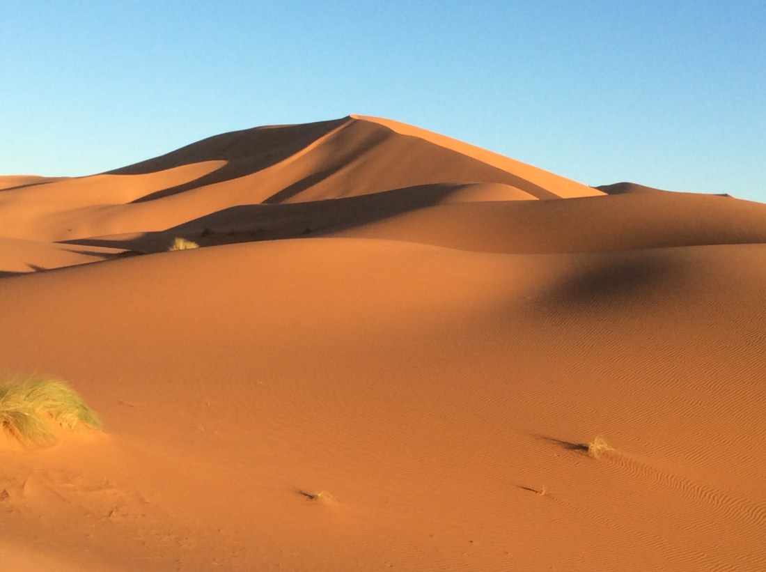 B2CCF482-6034-4C8A-AFF8-DAC951582B64