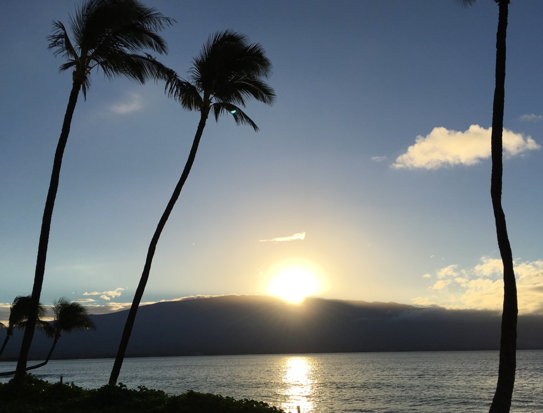 3F42D95D-1740-4B97-8B53-FAA83336FE9A