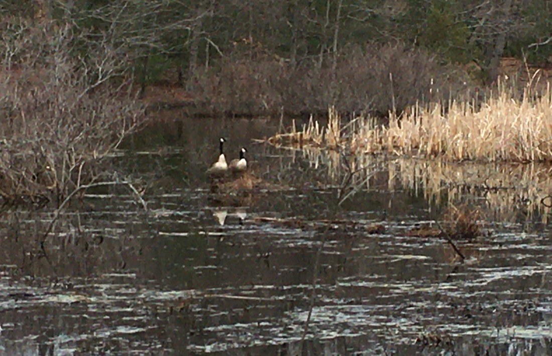 EDB4B747-C266-4C59-B6A3-A13F241F3534