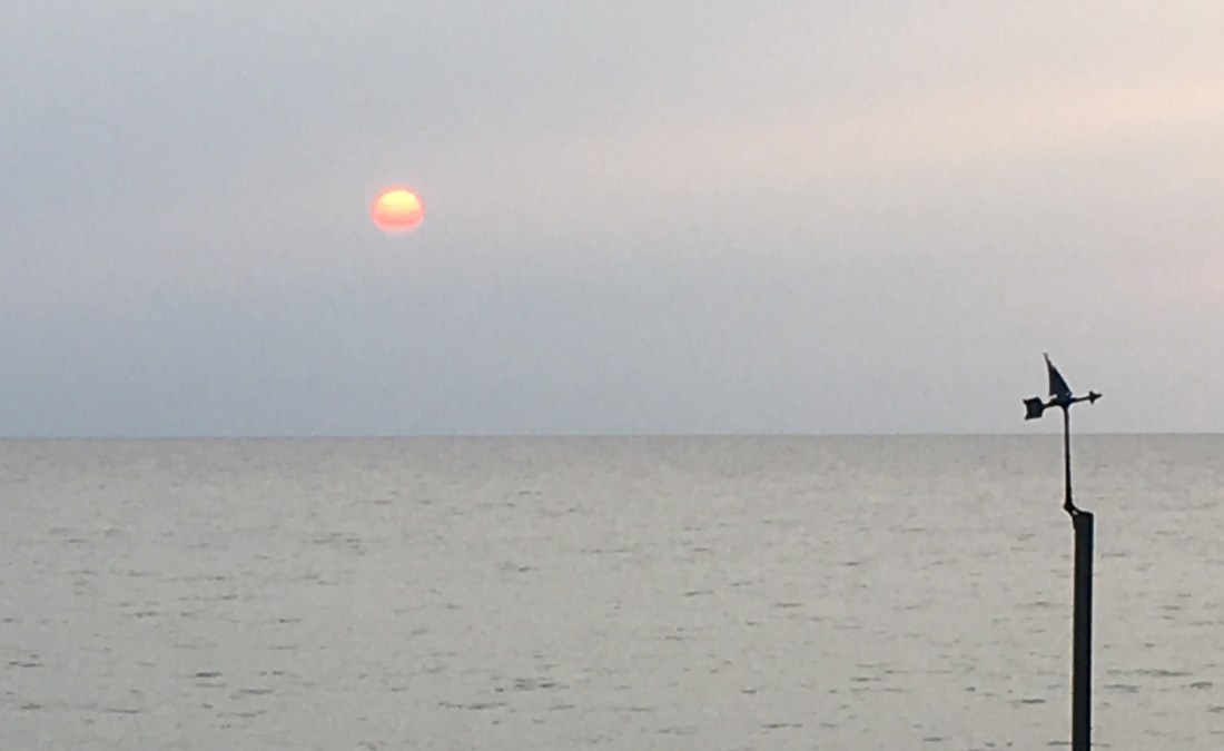 C4F14814-CE84-44AF-B490-150288F19522