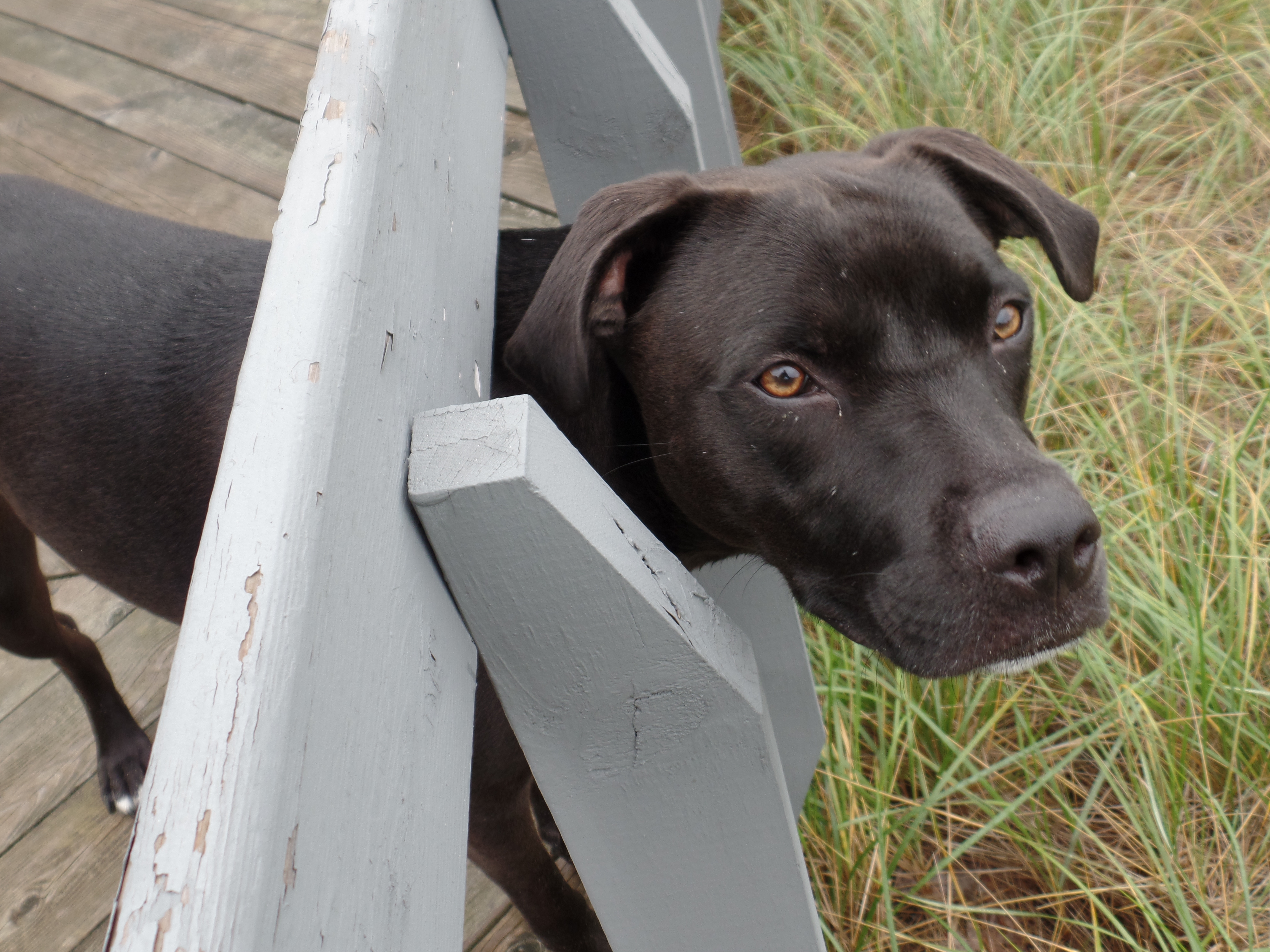 SAMSUNG CAMERA PICTURES